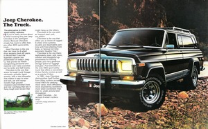 1981 Jeep Cherokee-02-03.jpg